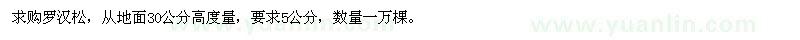 求購5公分羅漢松