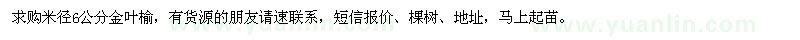 求購米徑6公分金葉榆