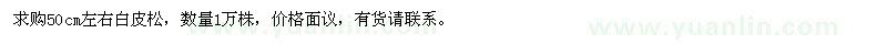 求購50公分左右白皮松