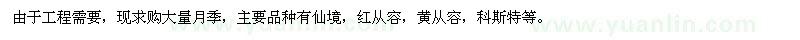 求購月季