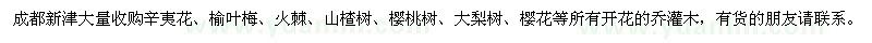 求購辛夷花、榆葉梅、火棘