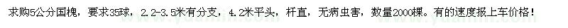 求購5公分國槐