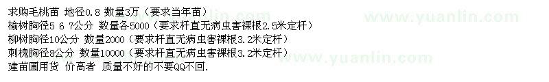 求購毛桃苗、榆樹、柳樹