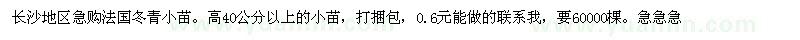 求購(gòu)高40公分以上法國(guó)冬青