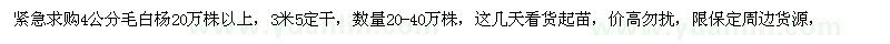 求購4公分毛白楊