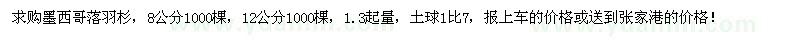 求購8、12公分墨西哥落羽杉