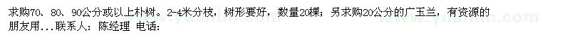 求購(gòu)70、80、90公分或以上樸樹(shù)