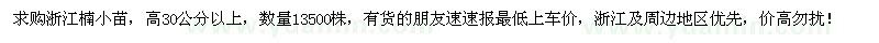 求購(gòu)高30公分以上浙江楠小苗
