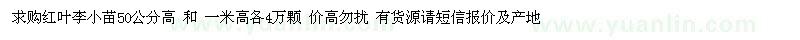 求購50公分高紅葉李