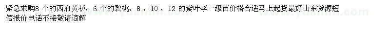 求購西府黃櫨、碧桃、紫葉李