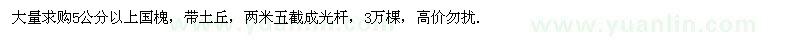 求購5公分以上國槐