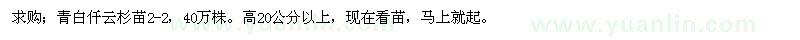 求購高20公分以上青白仟云杉苗