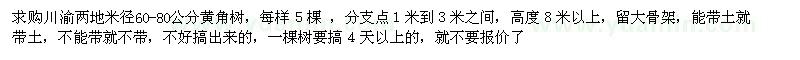 求購米徑60-80公分黃角樹