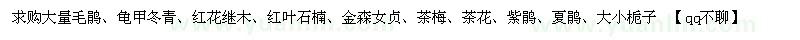 求購(gòu)毛鵑、龜甲冬青、紅花繼木