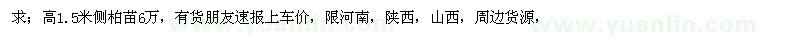 求購高1.5米側(cè)柏苗