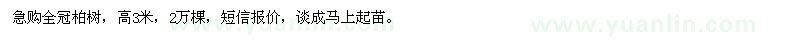 求購(gòu)高3米全冠柏樹(shù)