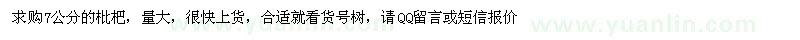 求購7公分枇杷