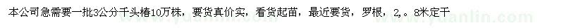 求購3公分千頭椿