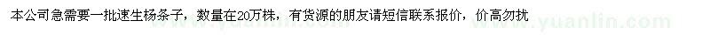 求購速生楊條子