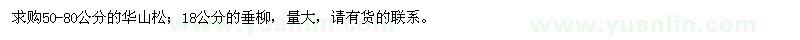 求購華山松、垂柳