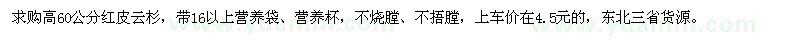 求購高60公分紅皮云杉