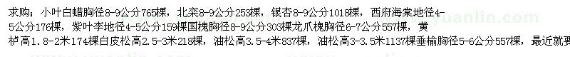 求購小葉白蠟、北欒、銀杏、西府海棠等