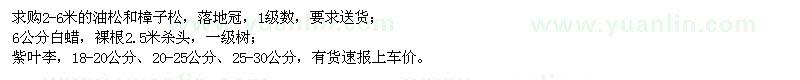 求購油松、樟子松、白蠟