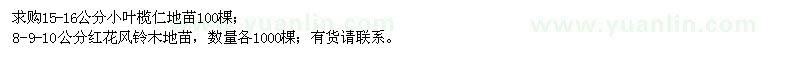 求購小葉欖仁、紅花風(fēng)鈴木