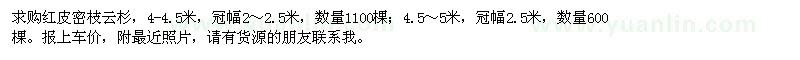 求購紅皮密枝云杉