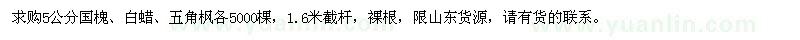 求購5公分國(guó)槐、白蠟、五角楓