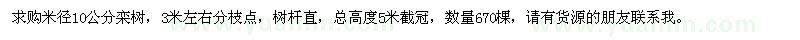 求購米徑10公分欒樹