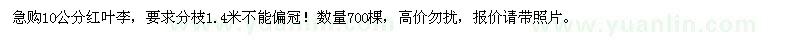 求購10公分紅葉李