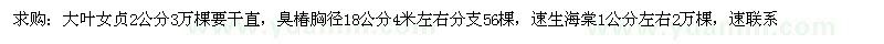 求購大葉女貞、臭椿、速生海棠 