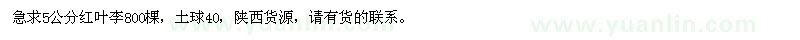 求購(gòu)5公分紅葉李