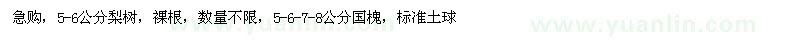 求購梨樹(shù)、國槐 