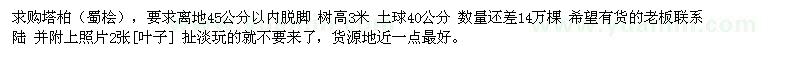 求購高3米塔柏、蜀檜
