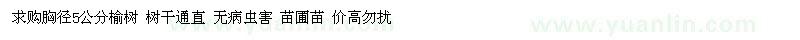 求購5公分榆樹