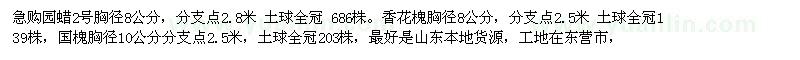 求購香花槐、國槐
