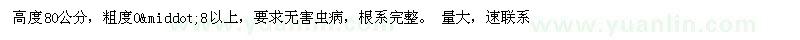求購速生國槐小苗