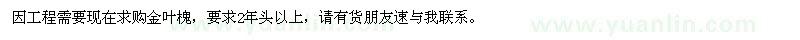 求購8公分金葉槐