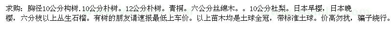 求購構(gòu)樹、樸樹、青桐