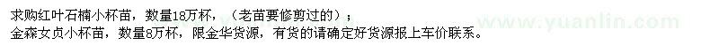 求購紅葉石楠小杯苗、金森女貞小杯苗