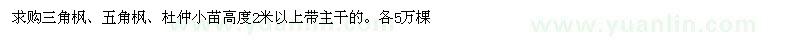 求購(gòu)三角楓、五角楓、杜仲小苗