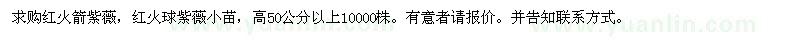 求購紅火箭紫薇、紅火球紫薇小苗