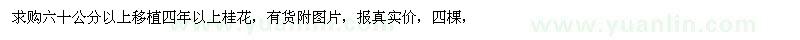 求購60公分以上移植四年以上桂花