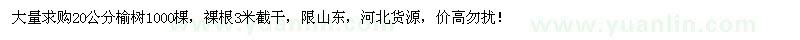 求購(gòu)20公分榆樹(shù)