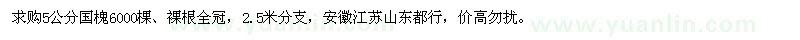 求購5公分國槐