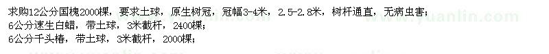 求購國槐、速生白蠟、千頭椿