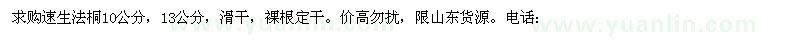 求購(gòu)速生法桐