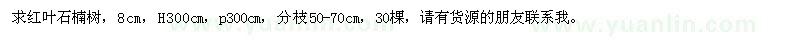求購紅葉石楠樹